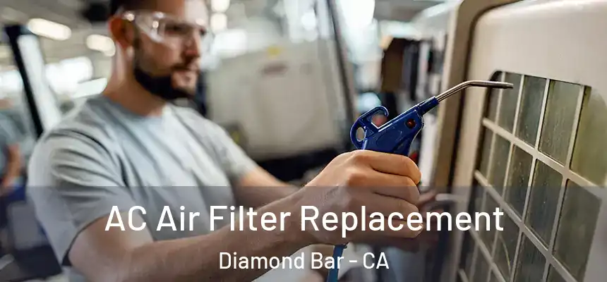  AC Air Filter Replacement Diamond Bar - CA