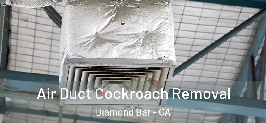  Air Duct Cockroach Removal Diamond Bar - CA