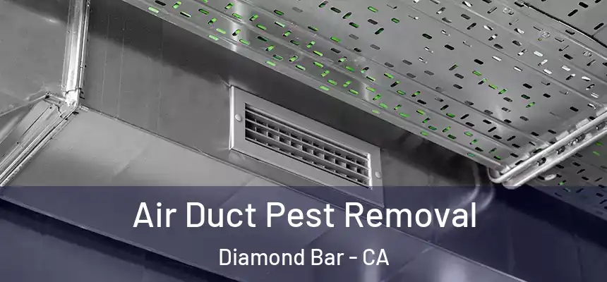  Air Duct Pest Removal Diamond Bar - CA