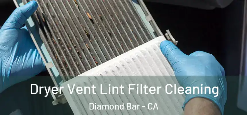  Dryer Vent Lint Filter Cleaning Diamond Bar - CA