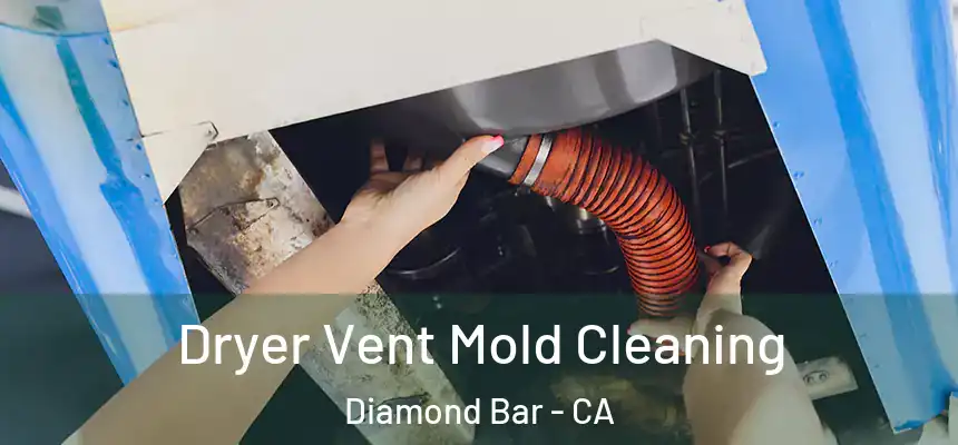  Dryer Vent Mold Cleaning Diamond Bar - CA
