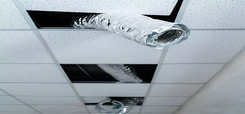 Affordable HVAC Sanitizing After Pest Removal in Diamond Bar