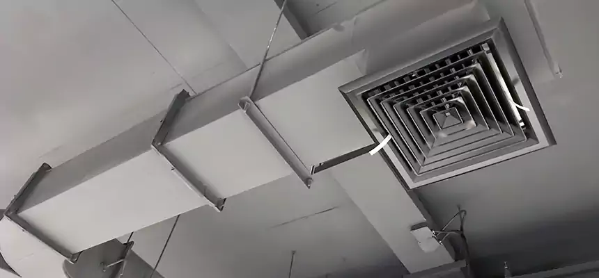 Restorative Allergy Relief Vent Cleaning – Coil, Blower & Housing Detail in Diamond Bar