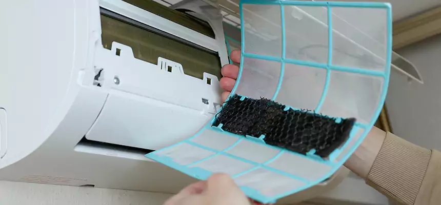 Gentle Ductwork Odor-Control Pet Dander Duct Cleaning in Diamond Bar, CA