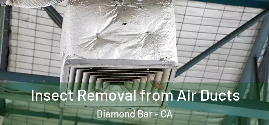  Insect Removal from Air Ducts Diamond Bar - CA