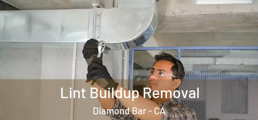  Lint Buildup Removal Diamond Bar - CA
