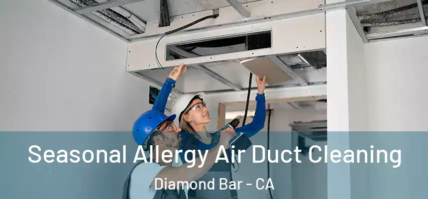  Seasonal Allergy Air Duct Cleaning Diamond Bar - CA
