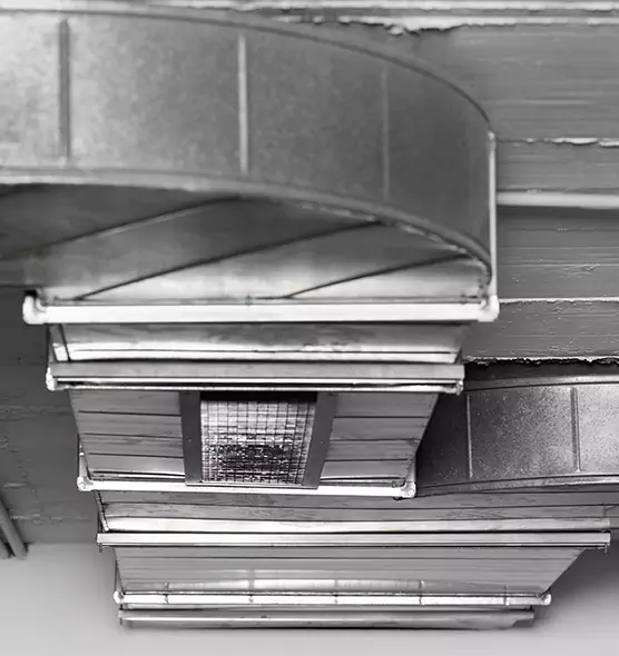 Professional Air Duct Pest Removal in Diamond Bar, CA