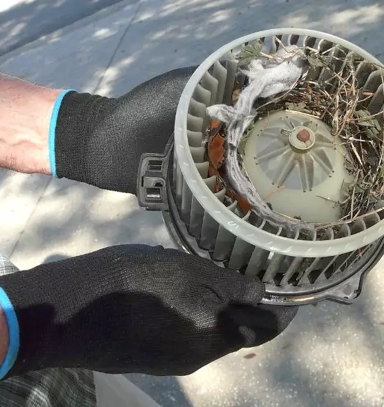 About Air Duct Rat Removal in Diamond Bar, CA