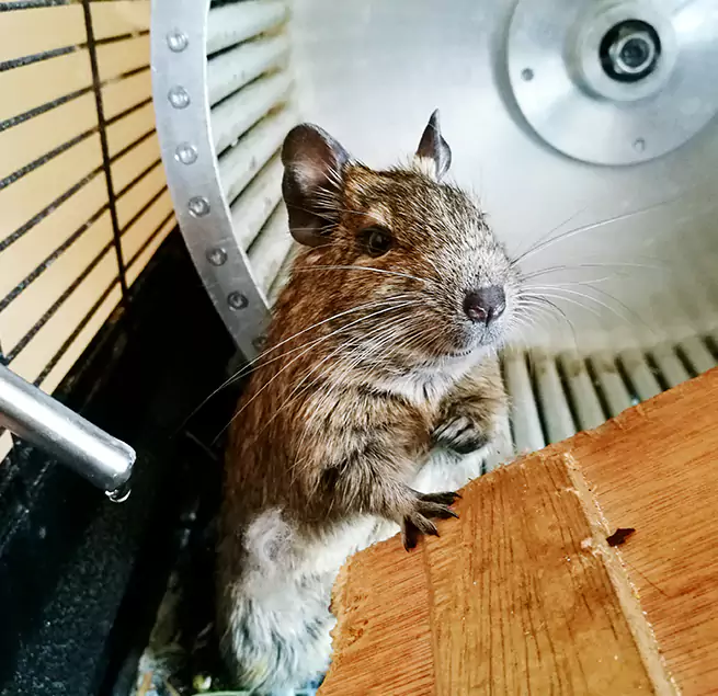 Why Homeowners & Businesses Trust Us Diamond Bar, CA