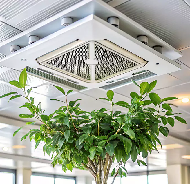 Why Homeowners & Businesses Trust Us in Diamond Bar, CA