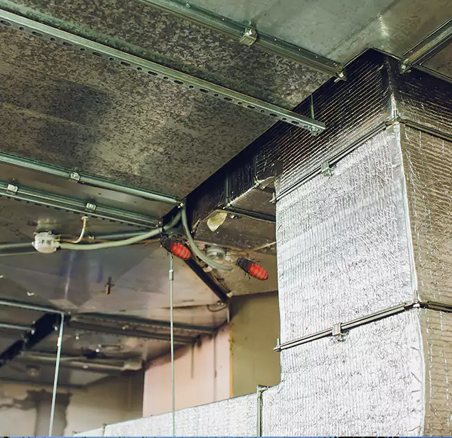 Why Homeowners & Businesses Trust Us Diamond Bar, CA?